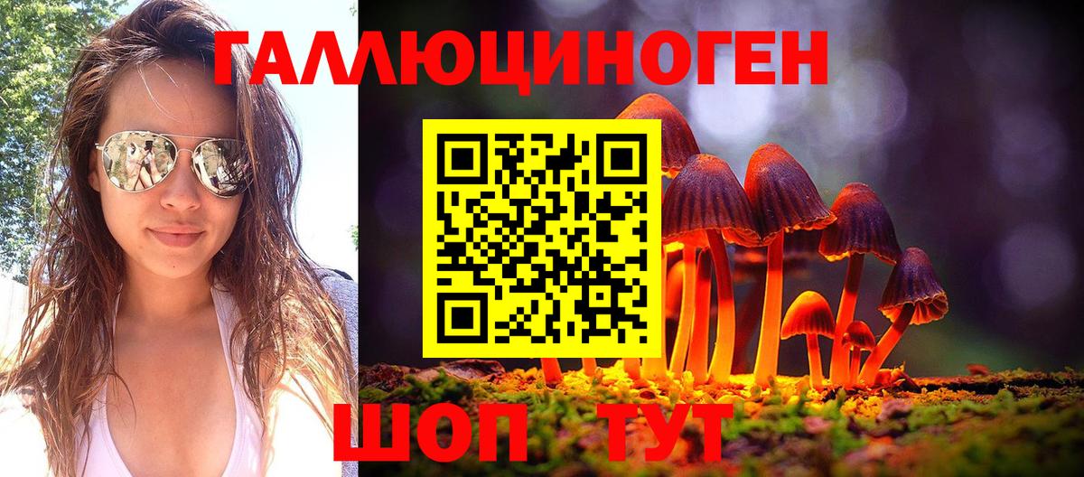 Псилоцибиновые грибы Psilocybe Коммунар